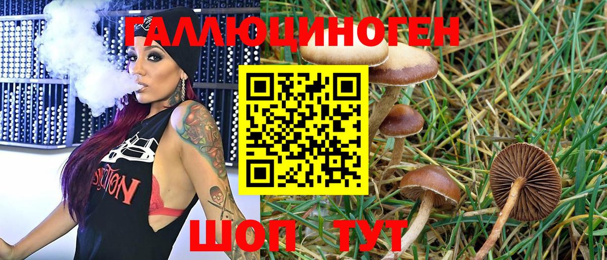 Псилоцибиновые грибы Magic Shrooms Артёмовский
